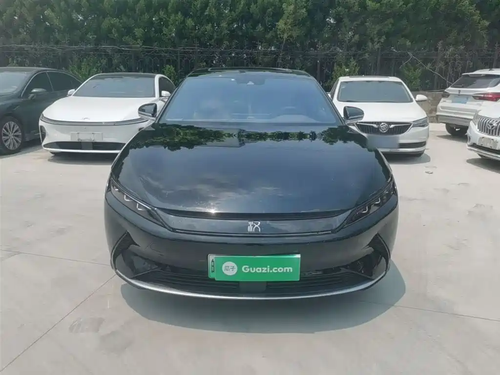 BYD Han 2021 EV Standard Range Luxury фото 3
