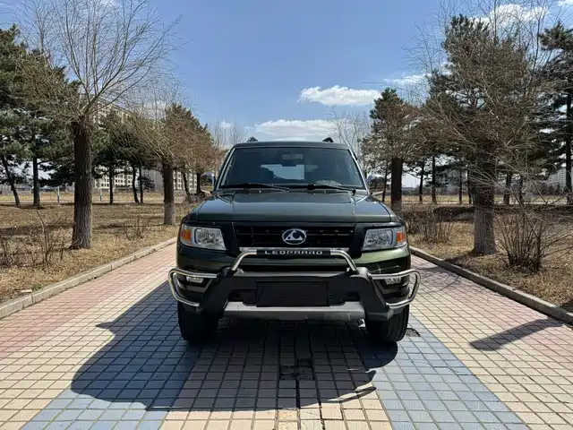 cheetah-cars cheetah-q6