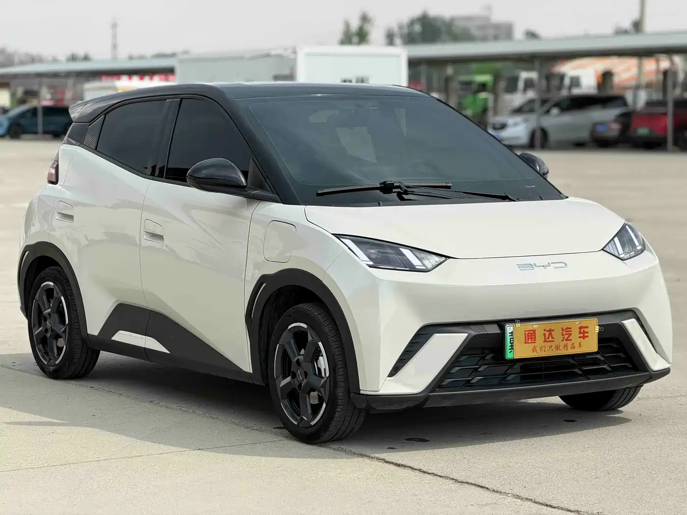 BYD Seagull 2023 Flying Edition фото 2