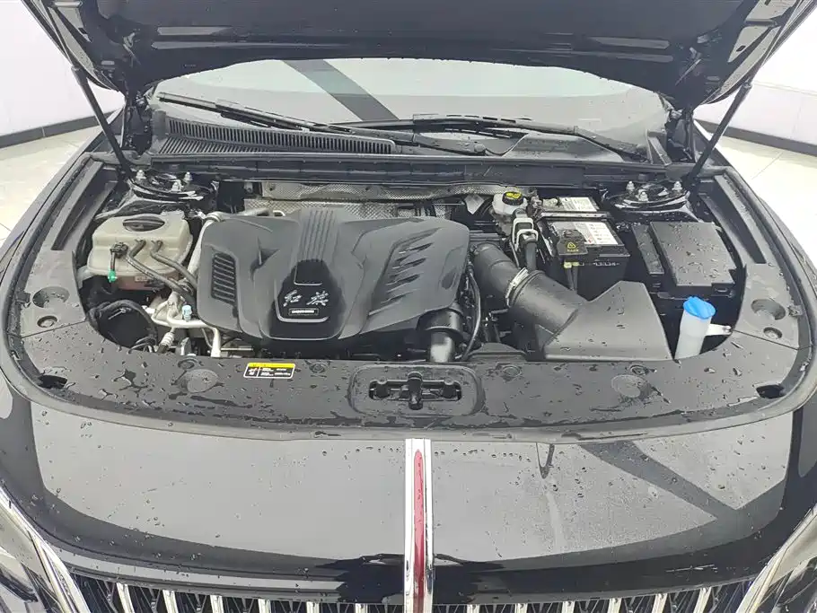Hongqi H5 2024 1.5T DCT Smart Connect Flag Rhythm Edition фото 10