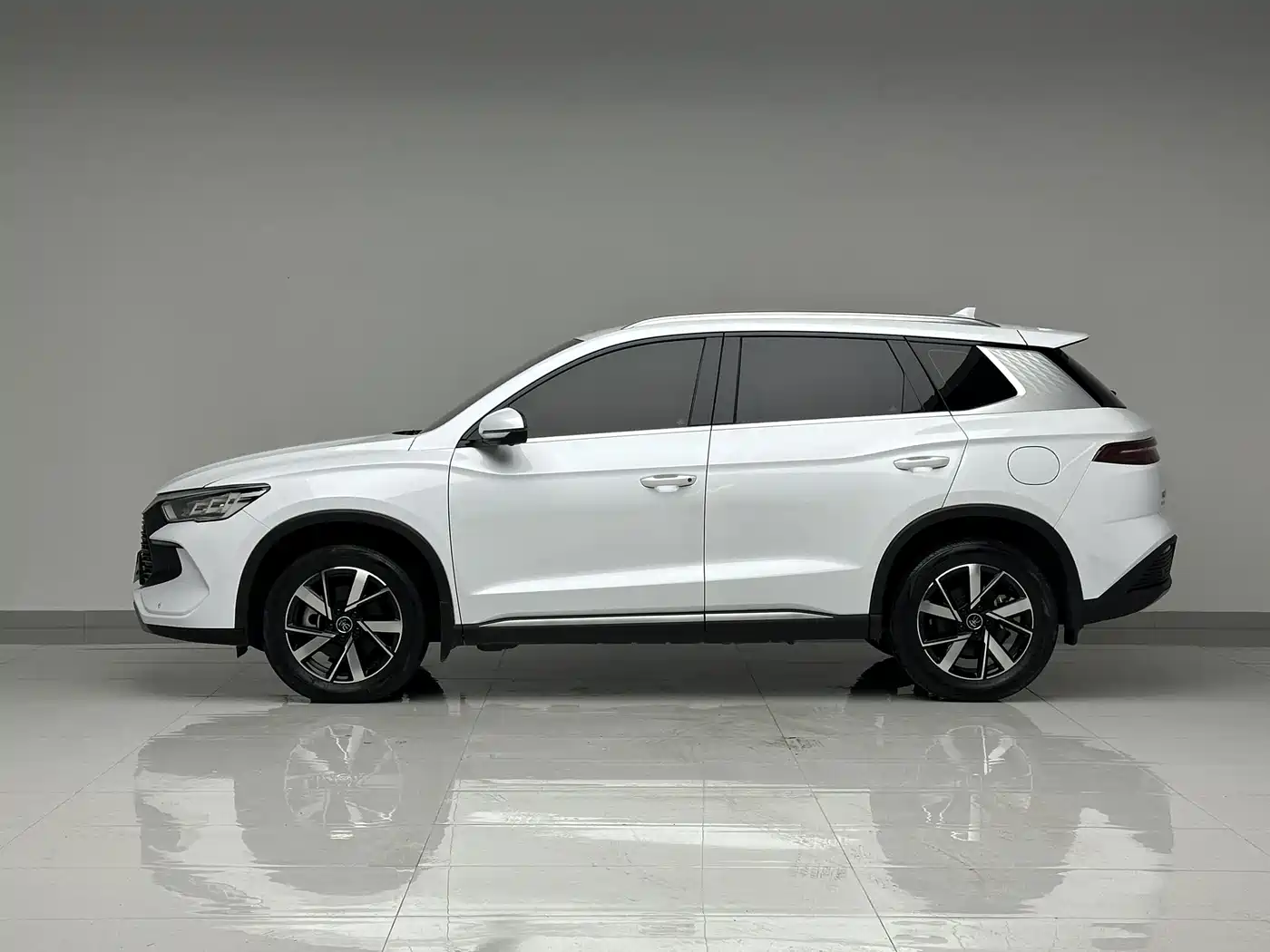 BYD Song Pro New Energy 2024 Glory Edition DM-i 71KM Pilot фото 10