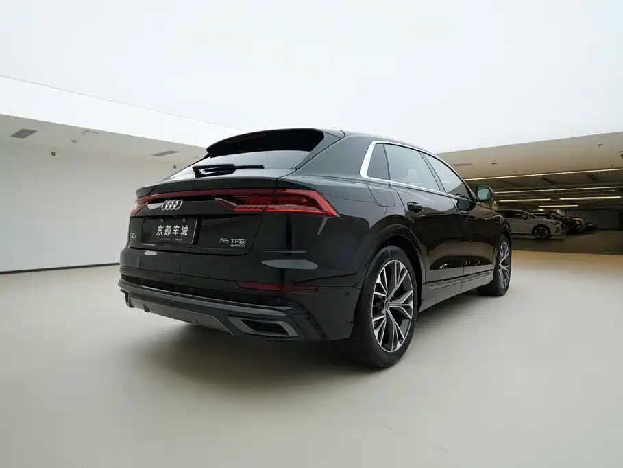 Audi Q8 2023 2022 55 TFSI Luxury Dynamic