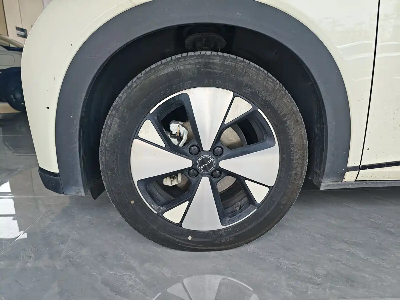 BYD Dolphin 2023 420km Fashion Edition фото 14
