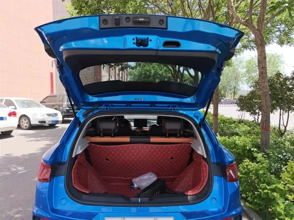 BYD e2 2021 Luxury Edition фото 19