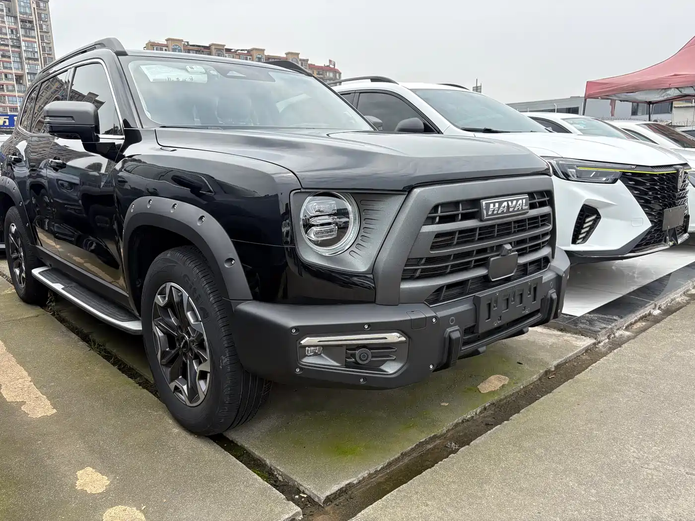Haval Big Dog 2022 2.0T DCT 4WD Chinese Rural Dog Hunting Edition фото 3