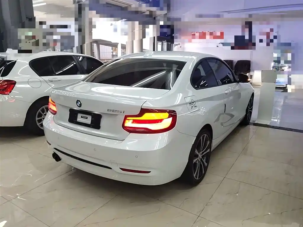 BMW 2 Series (Import) 2019 225i Sport Design Package фото 7