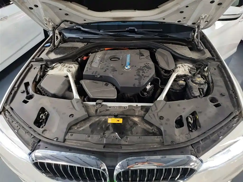 BMW 5 Series New Energy 2019 530Le Luxury Package фото 20