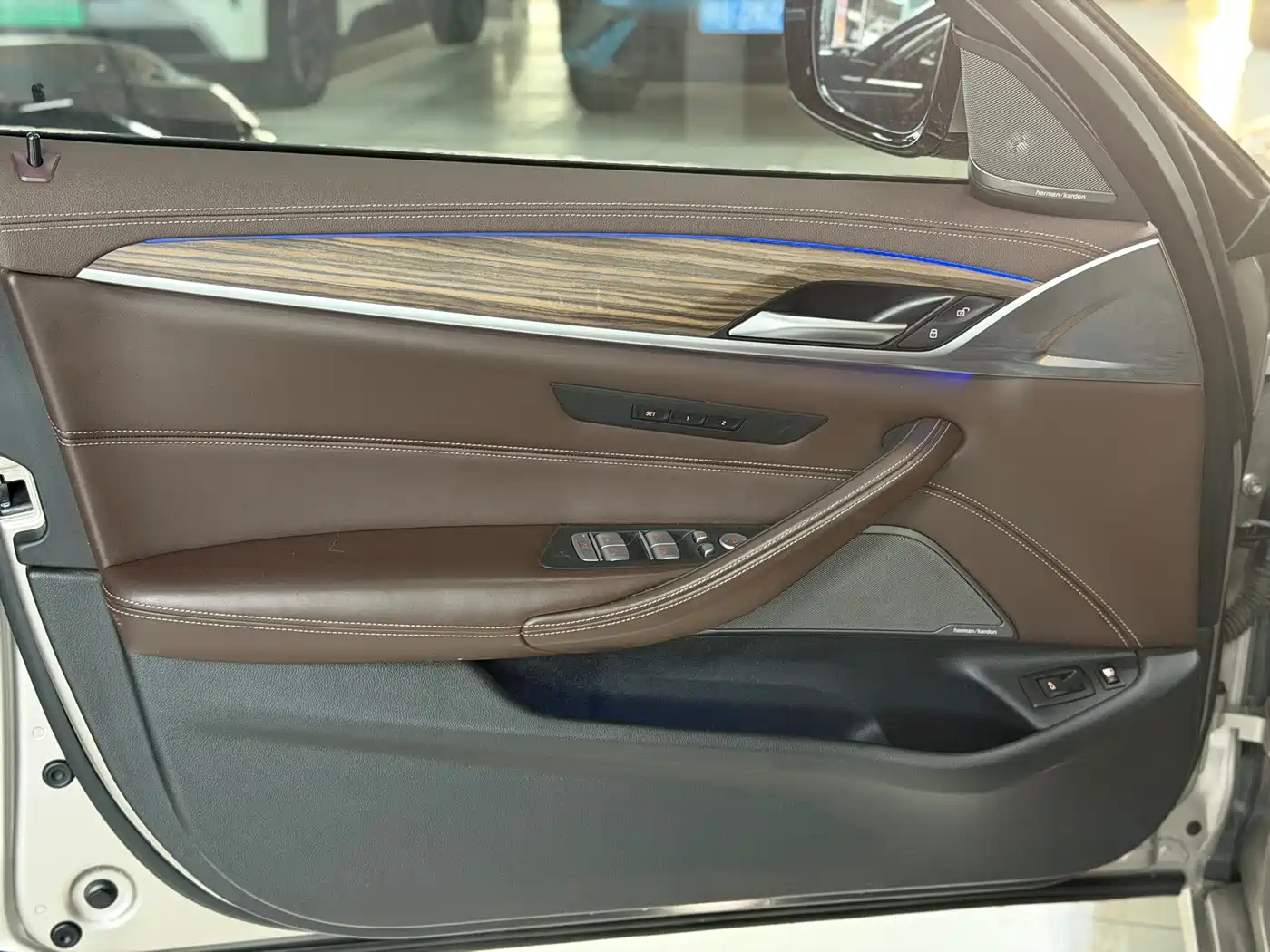 BMW 5 Series New Energy 2020 530Le Luxury Package фото 4