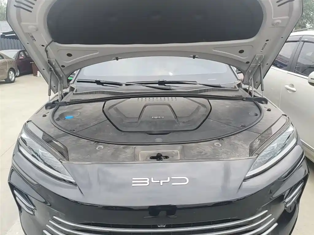 BYD Song PLUS PHEV 2023 Champion Edition DM-i 150KM Flagship PLUS фото 20