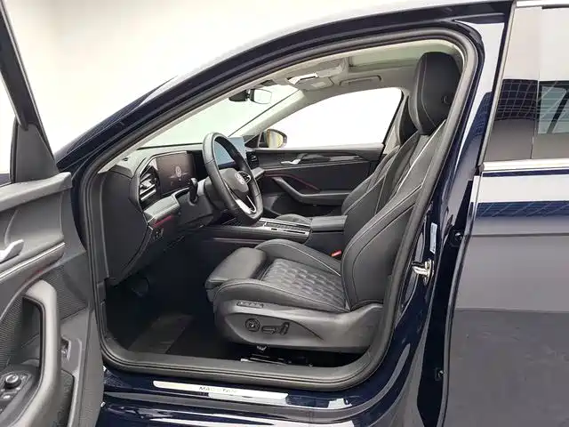 Volkswagen Magotan 2024 2024 380TSI DSG Ultimate Edition