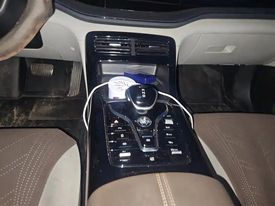 BYD Qin PLUS 2024 Glory Edition DM-i 55KM Leading фото 16