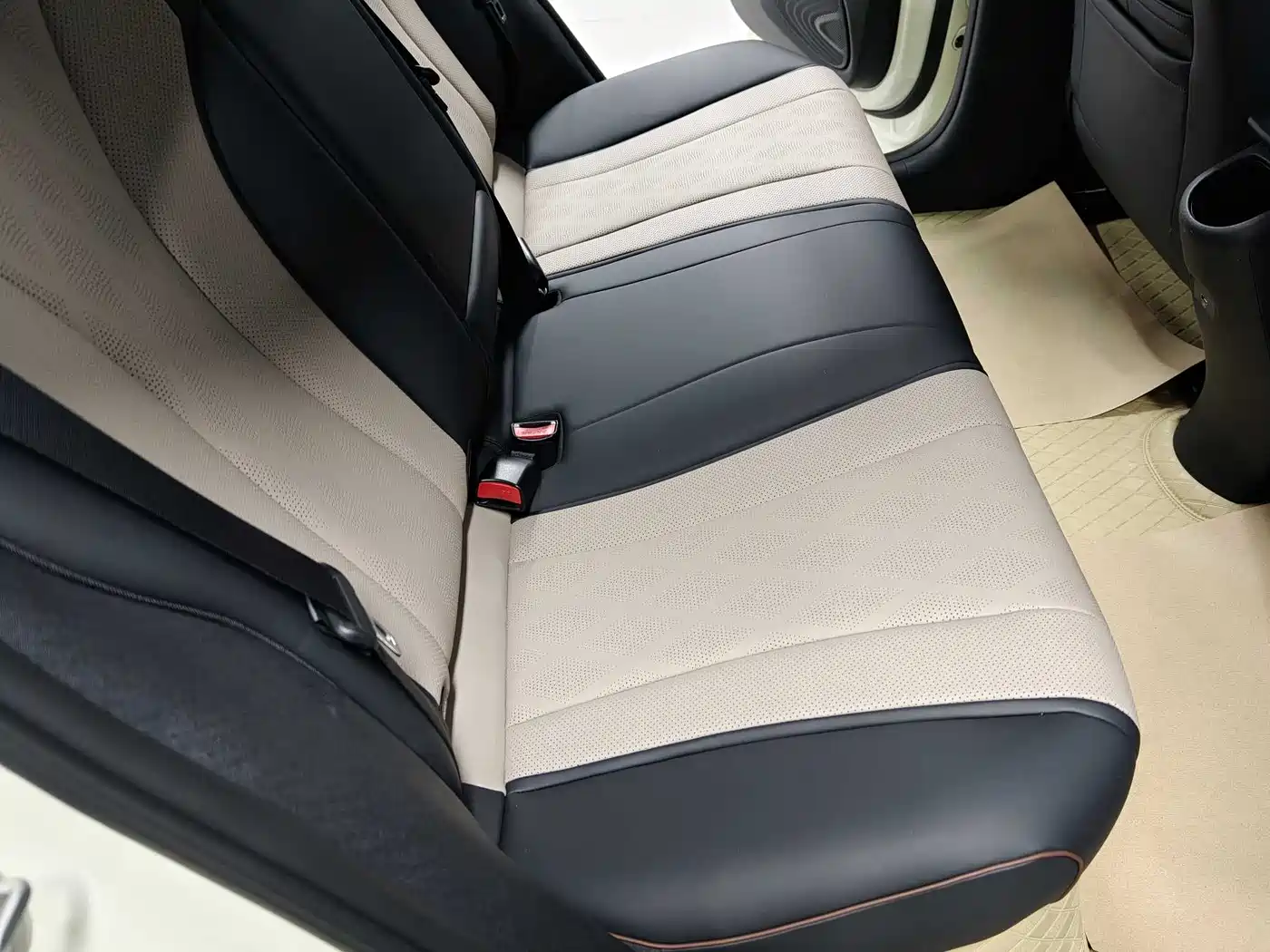 BYD Dolphin 2023 420km Fashion Edition фото 11
