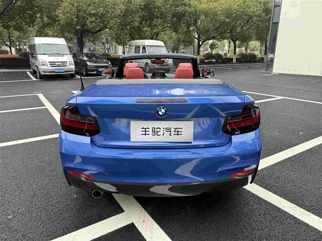 BMW 2 Series (Import) 2015 220i Convertible Coupe M Sport фото 6