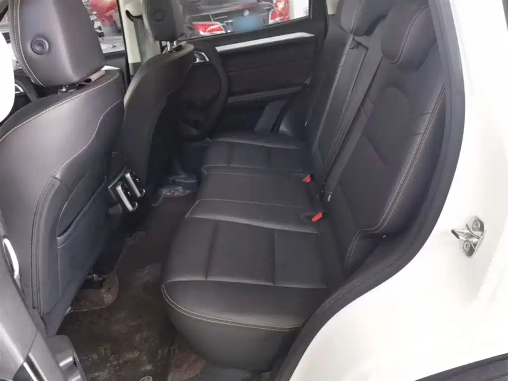 Haval Big Dog 2022 1.5T DCT FWD Border Collie Edition фото 17