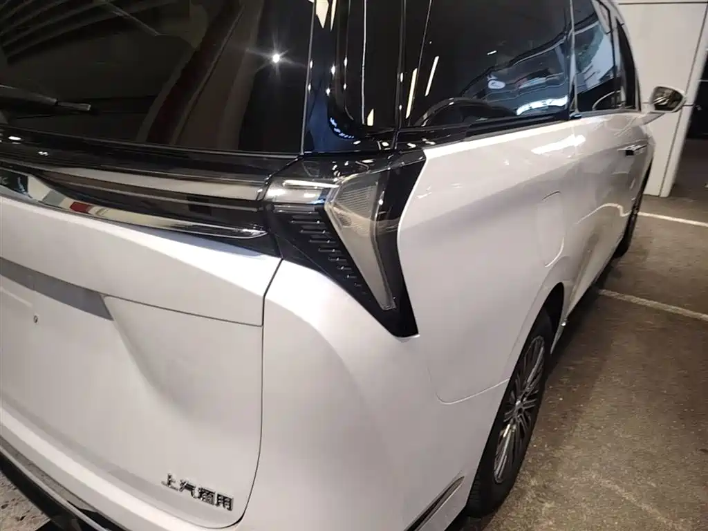 Buick GL8 2025 Land Honor Premium Edition фото 8