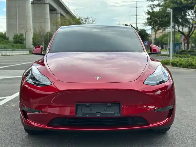Tesla Model Y 2024 Long Range AWD — фото 2