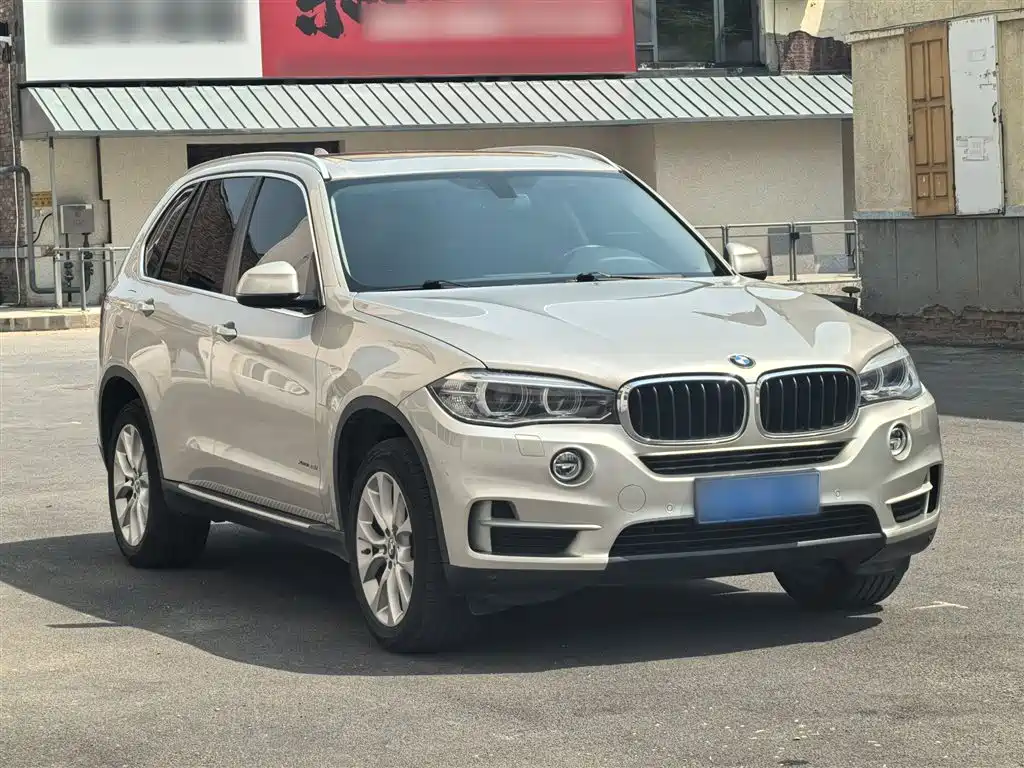 BMW X5 (Import) 2014 xDrive35i Elegance фото 8