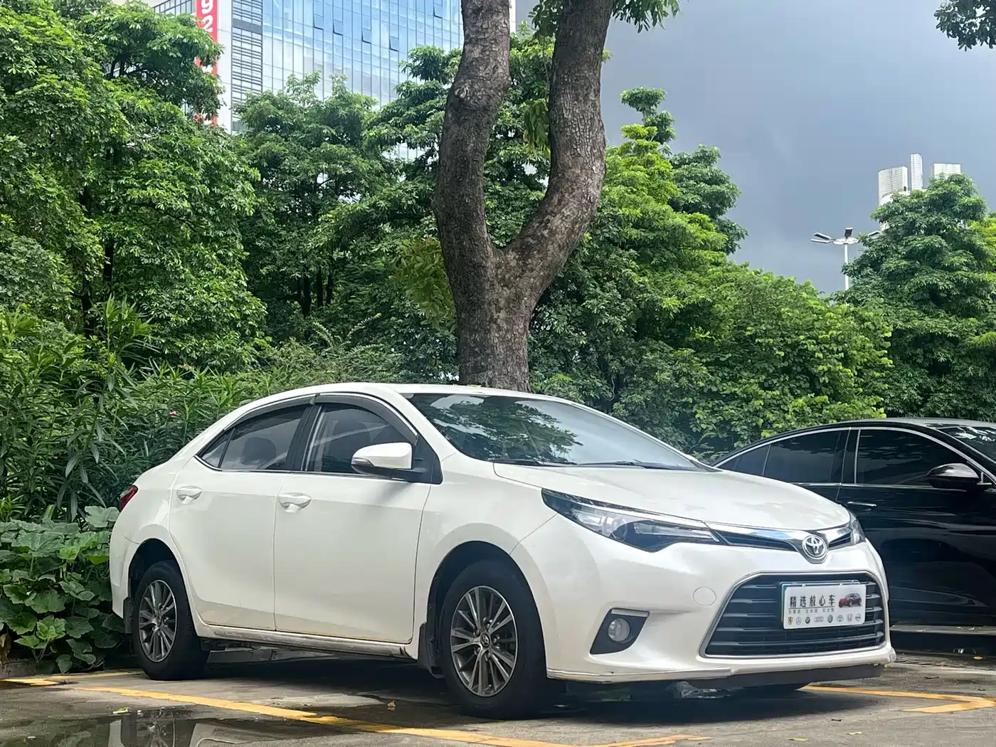 Фото 3 - Toyota Levin
