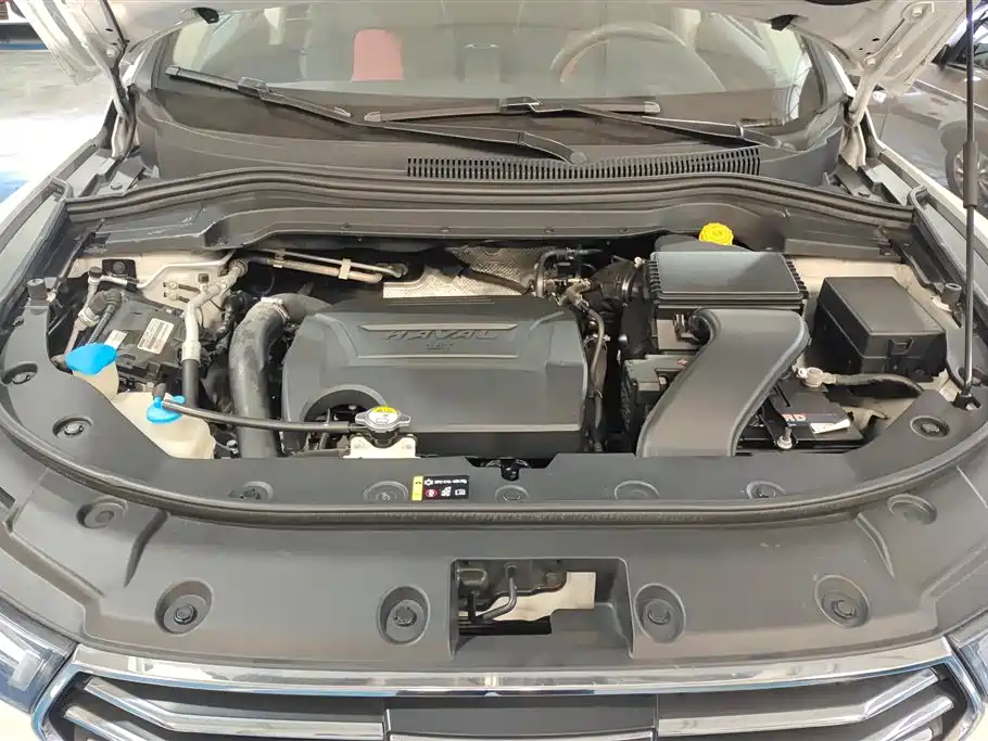 Haval H2s 2018 Blue Label 1.5T DCT Elite фото 10