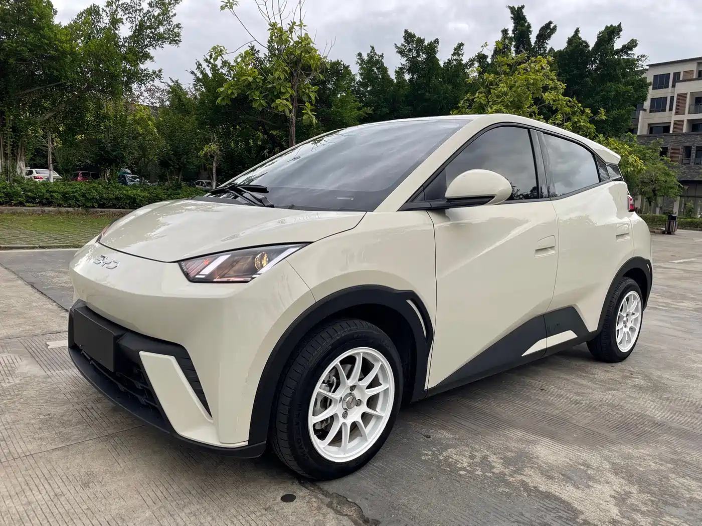 BYD Seagull 2024 Glory Edition 305km Vitality Edition