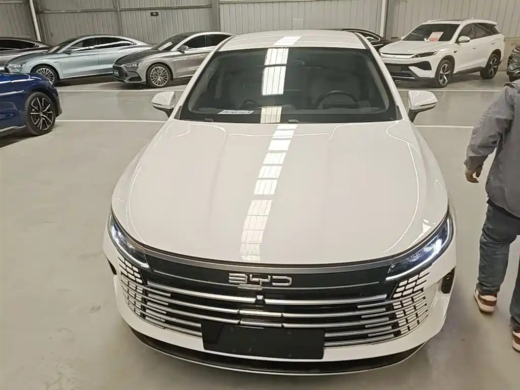 BYD Destroyer 05 2024 Glory Edition DM-i 55KM Luxury фото 3