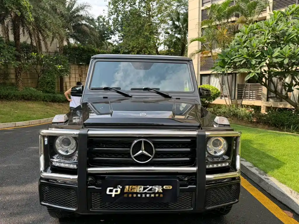 Mercedes-Benz G-Class 2017 G 500 фото 2