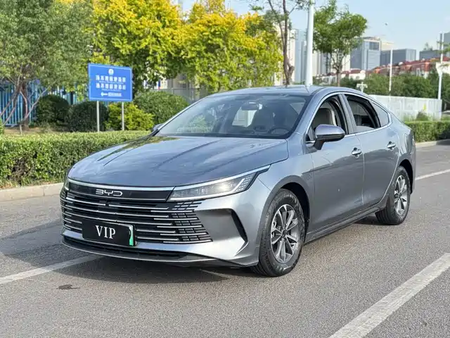 BYD Destroyer 05 2024