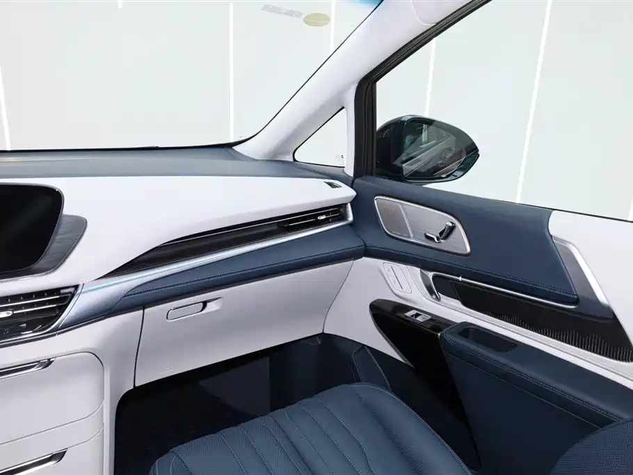 Buick Century 2023 2.0T 4-Seat Leisure Edition фото 25