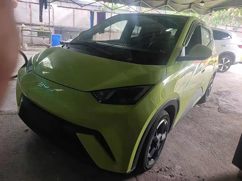 BYD Seagull 2024 Glory Edition 305km Freedom Edition