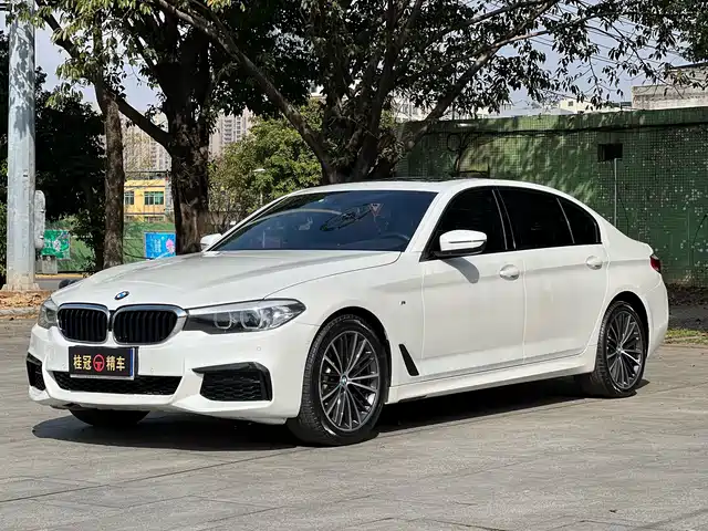 BMW 5 Series 2019