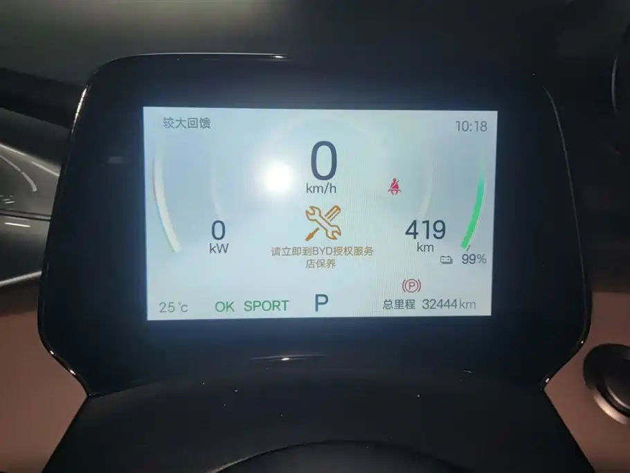 BYD Dolphin 2024 Glory Edition 420km Freedom Edition фото 14