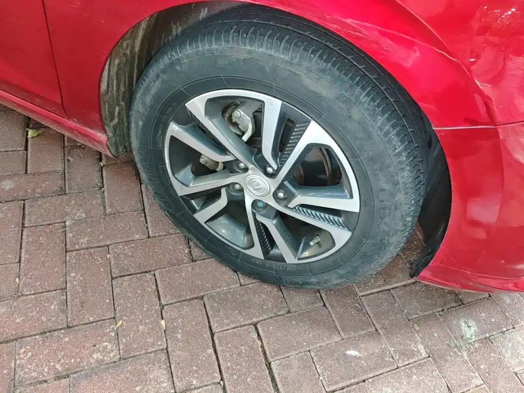 Photo 8 - Changan Eado