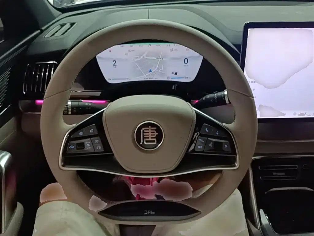 BYD Tang New Energy 2024 DM-i Glory Edition 112KM Deluxe фото 11