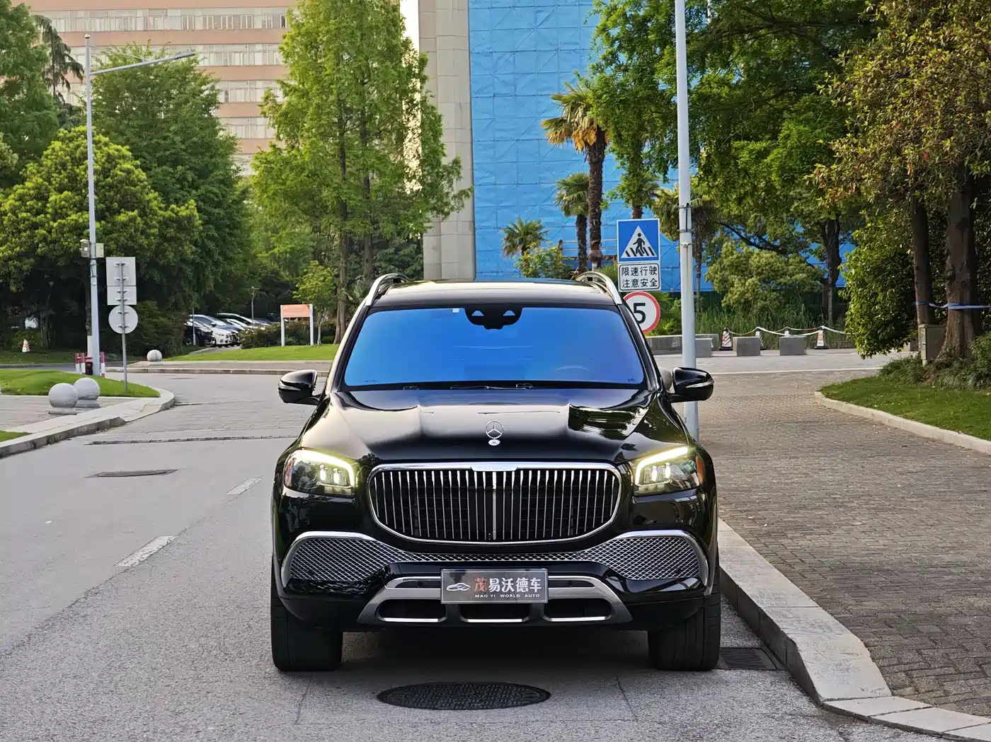 Mercedes-Benz Maybach GLS 2021 GLS 600 4MATIC Etiquette Edition фото 2