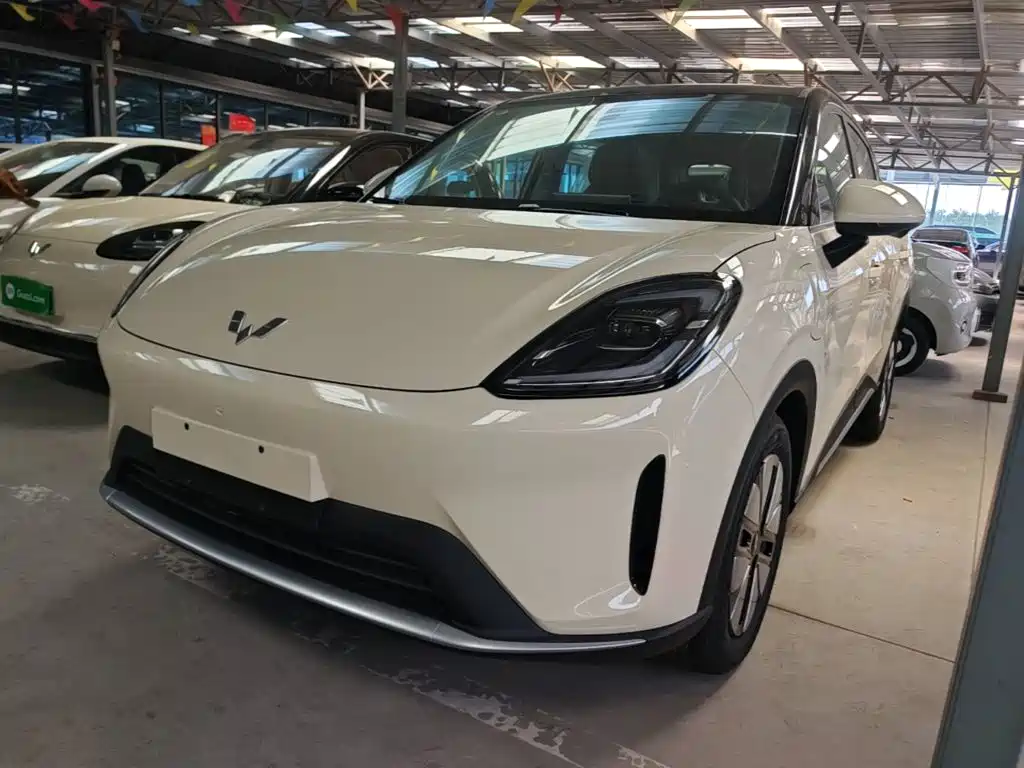 Wuling Motors Wuling Bingo S 2025 Model 325km Premium Edition