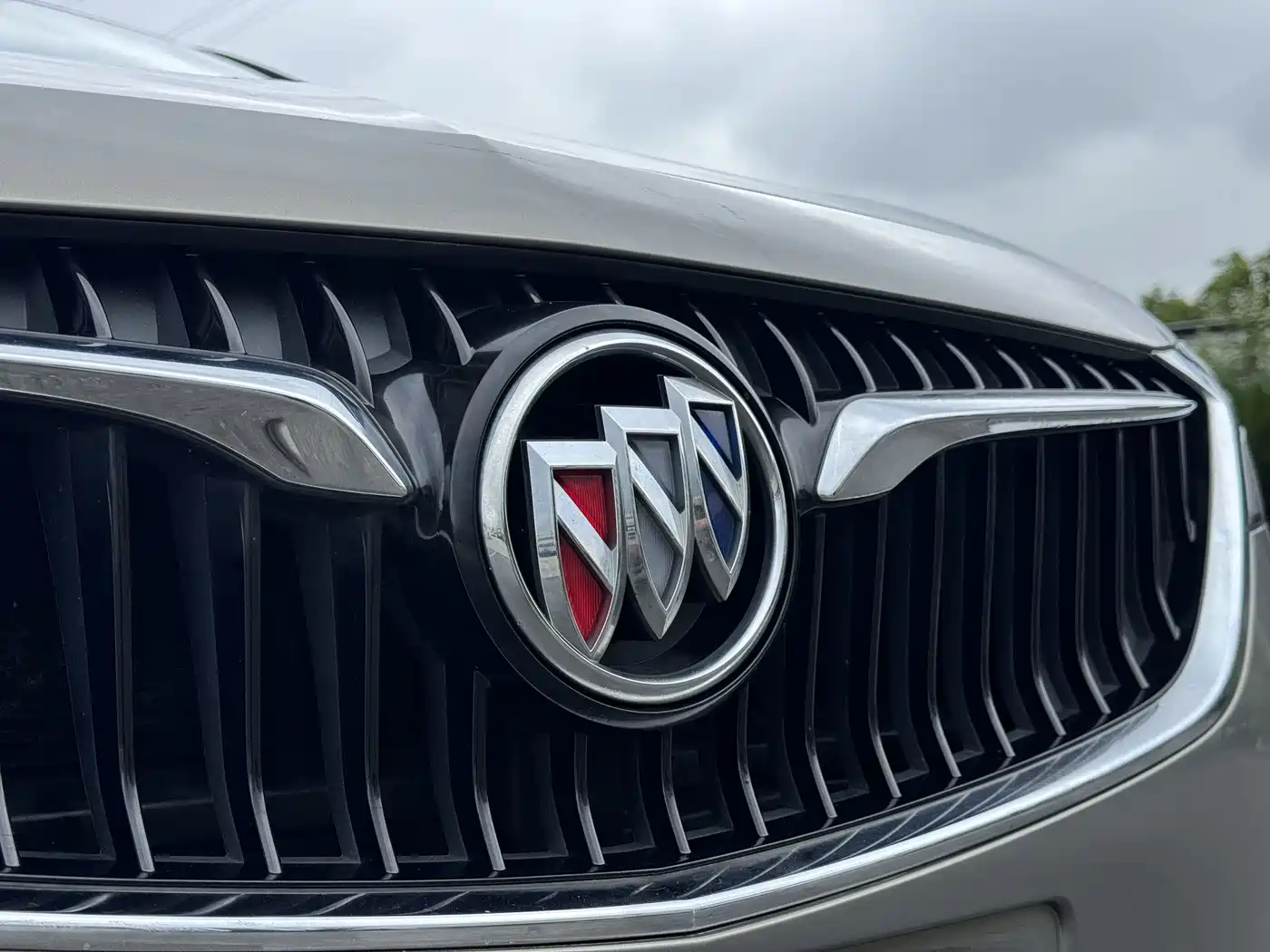 Фото 3 - Buick GL6
