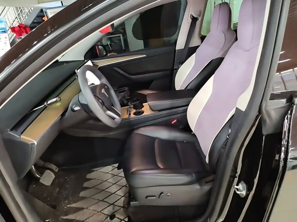 Tesla Model Y 2021 2021 Standard Range Rear-Wheel Drive