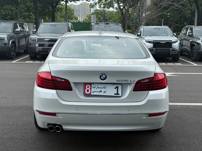 BMW 5 Series 2014 525Li Luxury Design Package фото 9