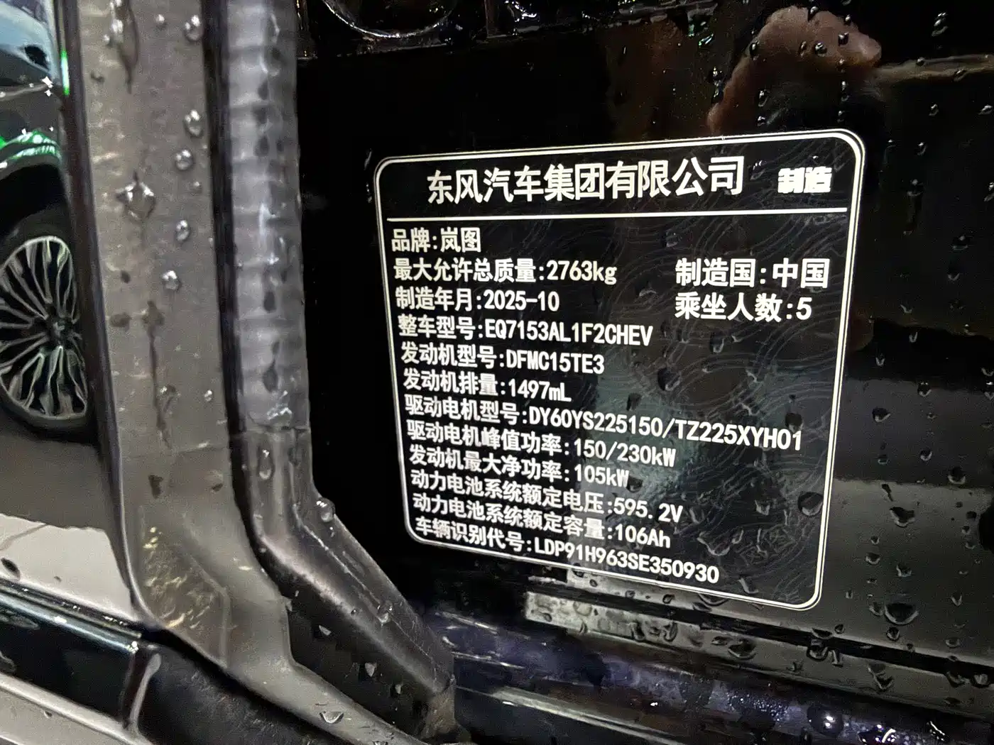 Voyah Auto VOYAH Zhuiguang L 2025 2025 Mid-configuration Model