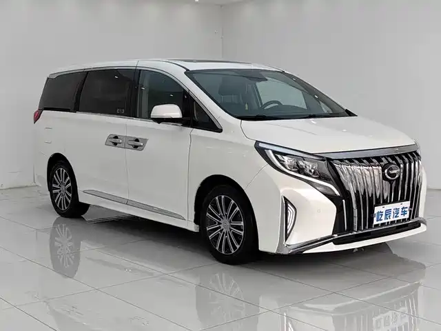GAC Trumpchi Trumpchi M8 2021 Leading Show Series 390T Prestige Edition — фото 3