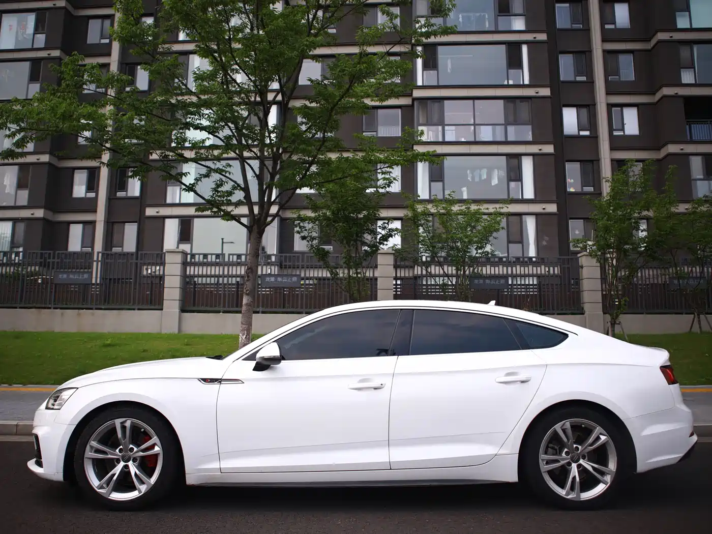 Audi A5 (Import) 2019 Sportback 40 TFSI Fashion фото 4