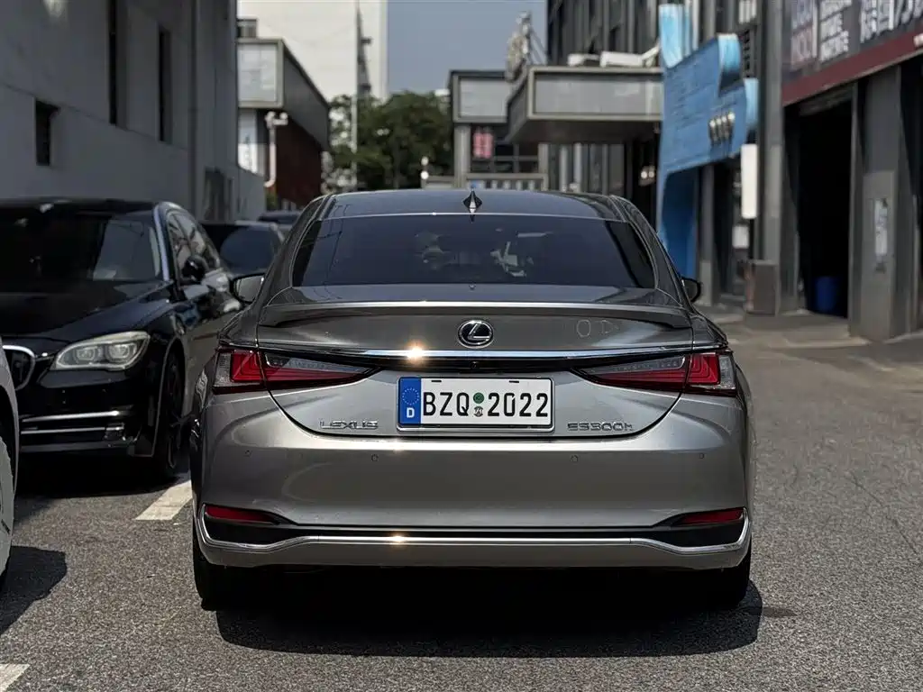 Lexus ES 2020 Model 300h Excellence Edition фото 9