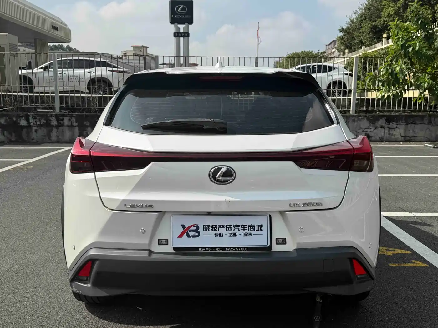 Lexus UX 2024 2022 260h Cool Edition