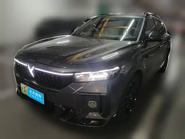 Voyah Auto VOYAH FREE 2025 318 318km RWD Touring Edition — фото 1
