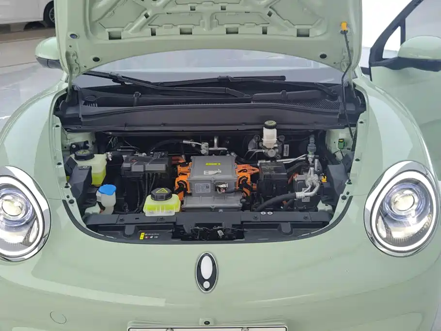 Ora Good Cat 2023 2023 401km Standard Range Comfort LFP