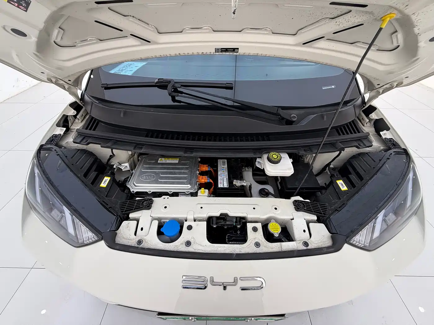 BYD Seagull 2023 Vitality Edition фото 7
