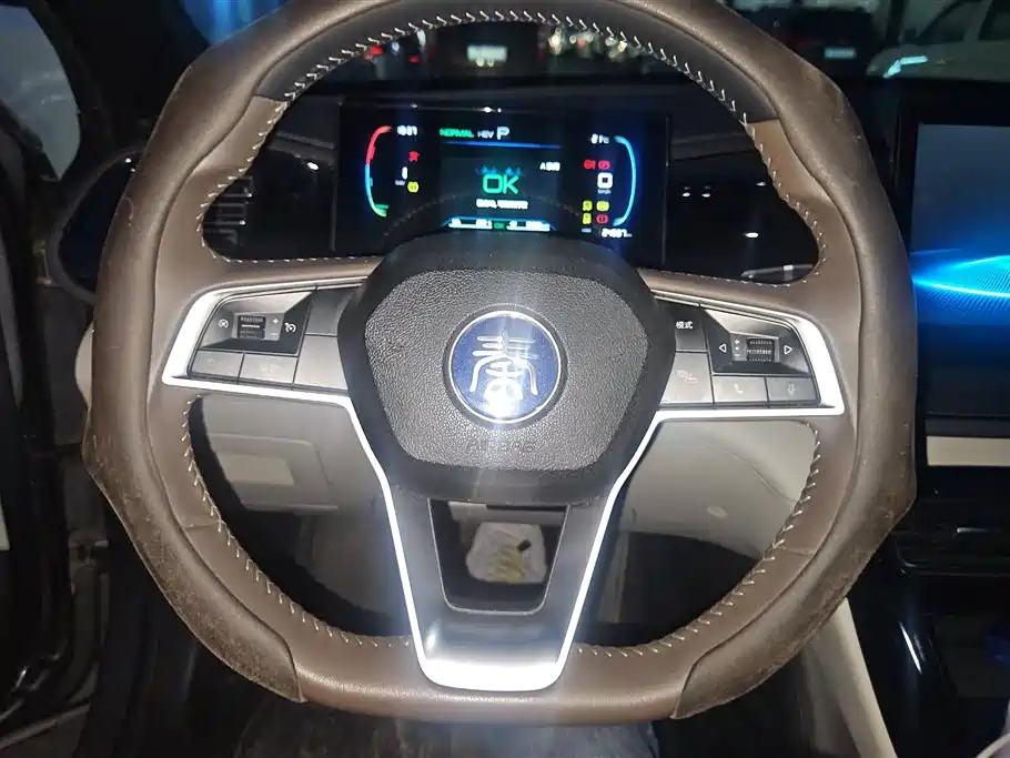 BYD Qin PLUS 2024 Glory Edition DM-i 55KM Leading фото 15