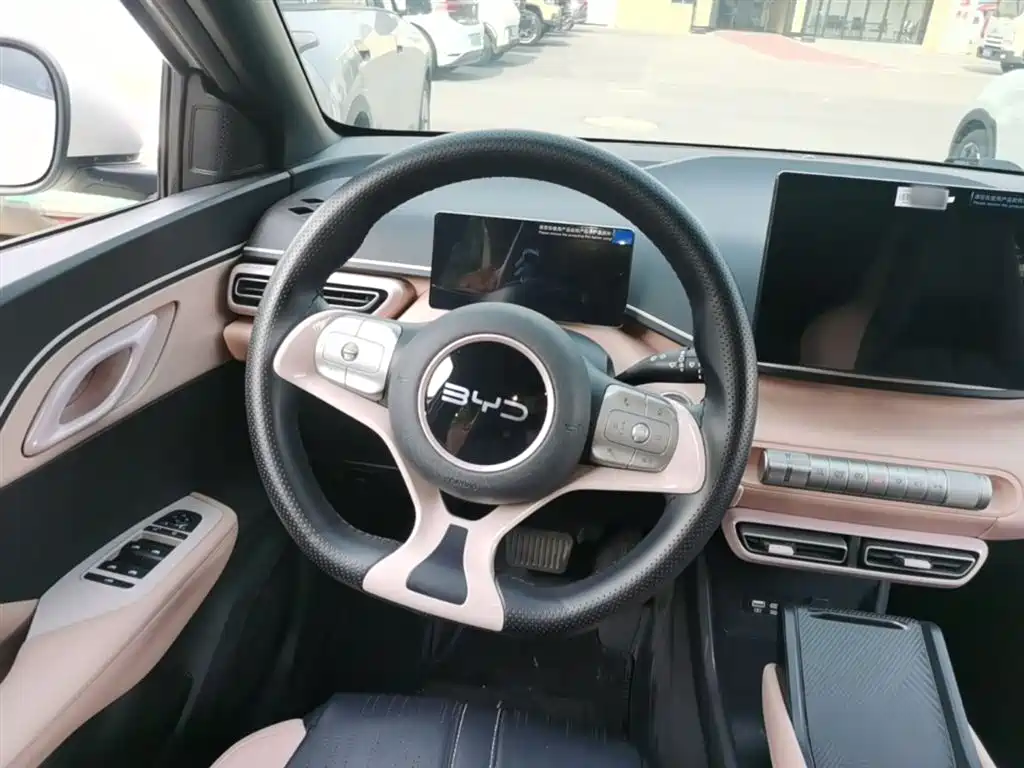 BYD Seagull 2025 305km Vitality фото 11