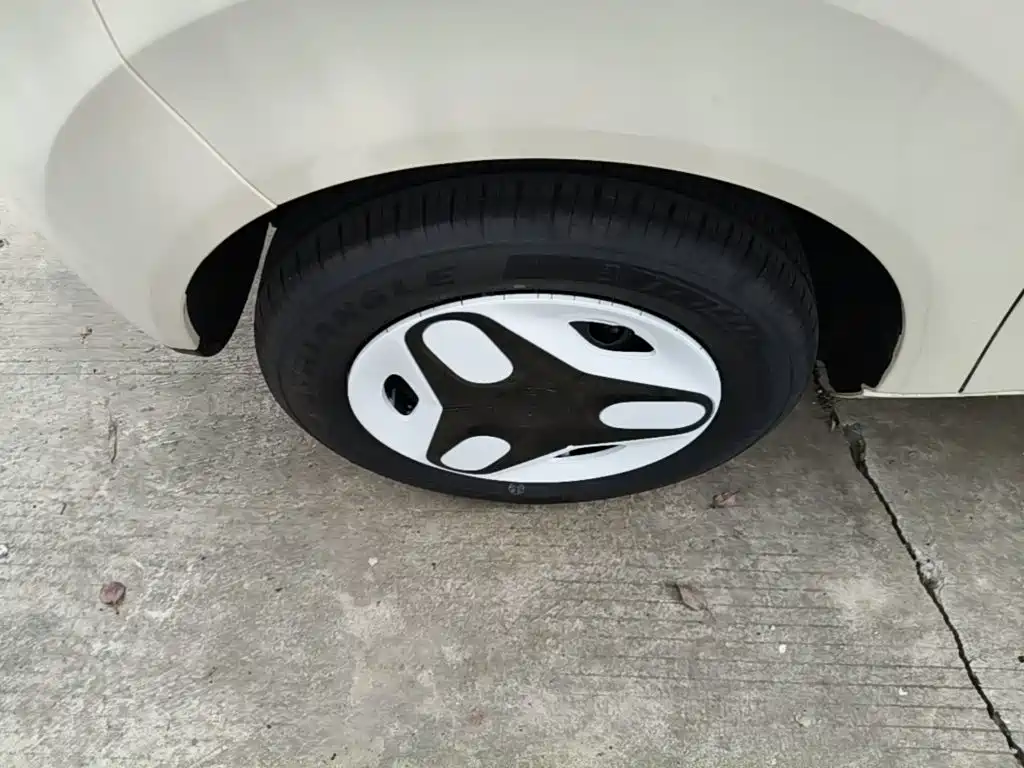 Geely Galaxy Panda 2026 2025 Panda mini 210km Vitality Bear