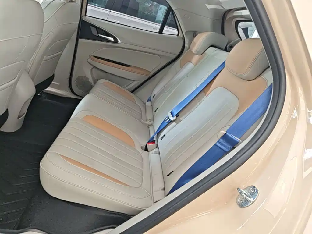 Ora Good Cat 2023 2023 401km Standard Range Premium LFP